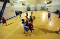 Basket 443088